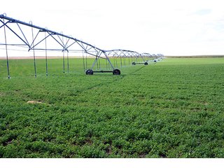 Property photo 42 - LAND AUCTION, 3255+/- Acres offered in 13 Tracts